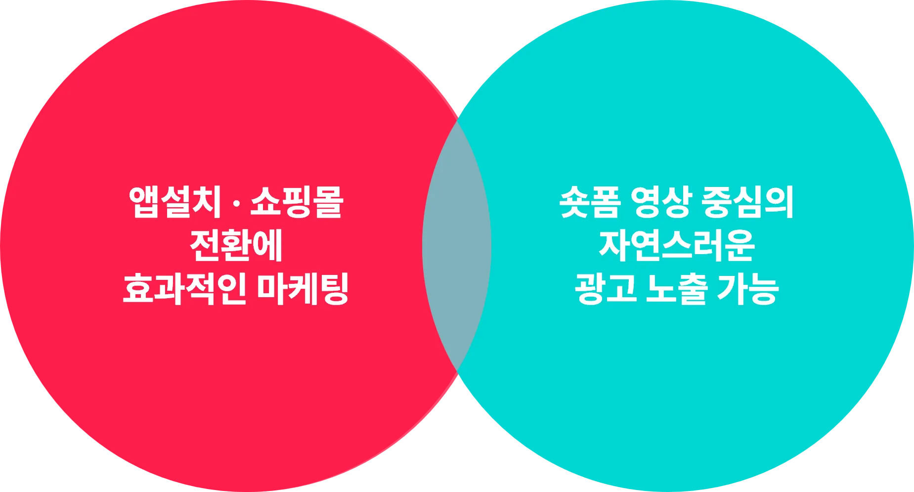 틱톡 마케팅